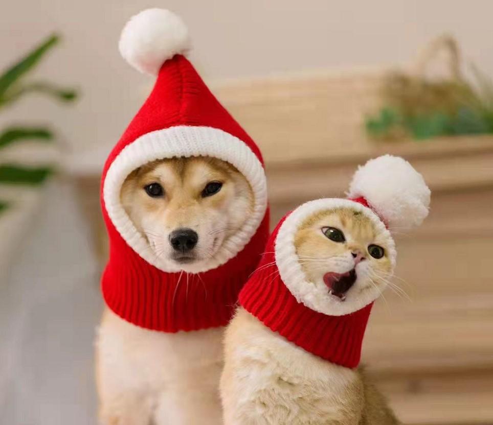Pet Woolen Christmas Hat