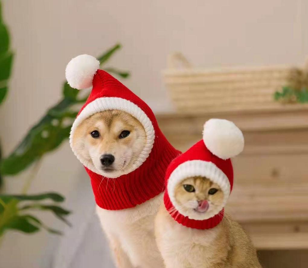 Pet Woolen Christmas Hat